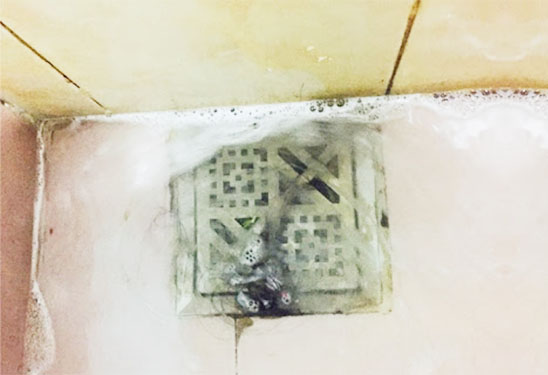5 nguyên nhân gây tắc cống phải nhờ đến dịch vụ thông cống nghẹt xã Tân Mỹ Huyện Bắc Tân Uyên 2 nguyen-nhan-cong-bi-tac-nghen-la-do-dau?